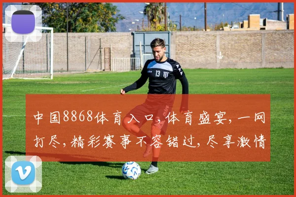 中国8868体育入口,体育盛宴,一网打尽,精彩赛事不容错过,尽享激情