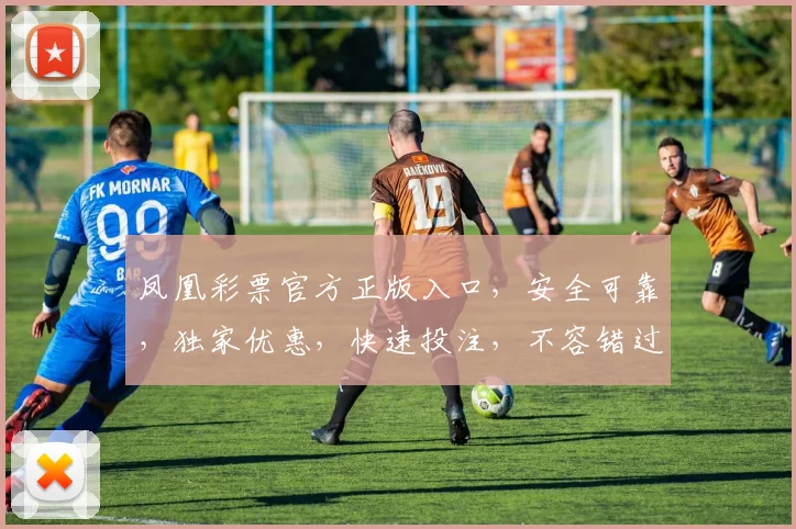 凤凰彩票官方正版入口，安全可靠，独家优惠，快速投注，不容错过，立即体验