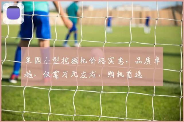 果园小型挖掘机价格实惠，品质卓越，仅需万元左右，购机首选