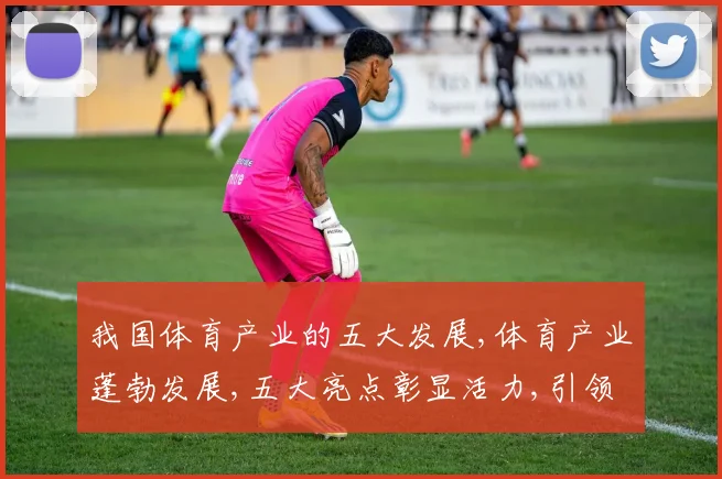 我国体育产业的五大发展,体育产业蓬勃发展,五大亮点彰显活力,引领市场潮流