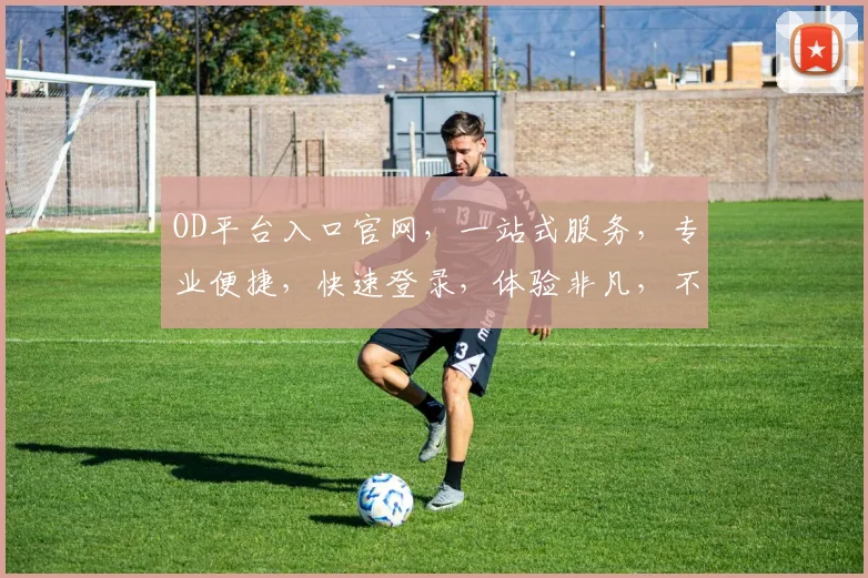 OD平台入口官网，一站式服务，专业便捷，快速登录，体验非凡，不容错过，尽在官网